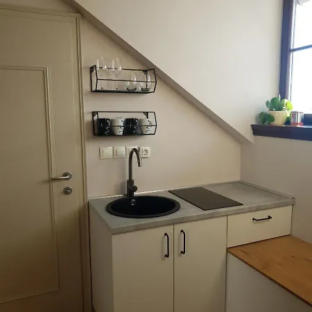 公寓 Studio Apartma Grad